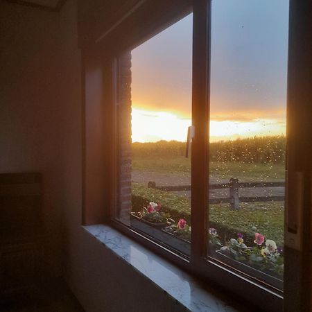 In The Old Farmhouse Assenede エクステリア 写真