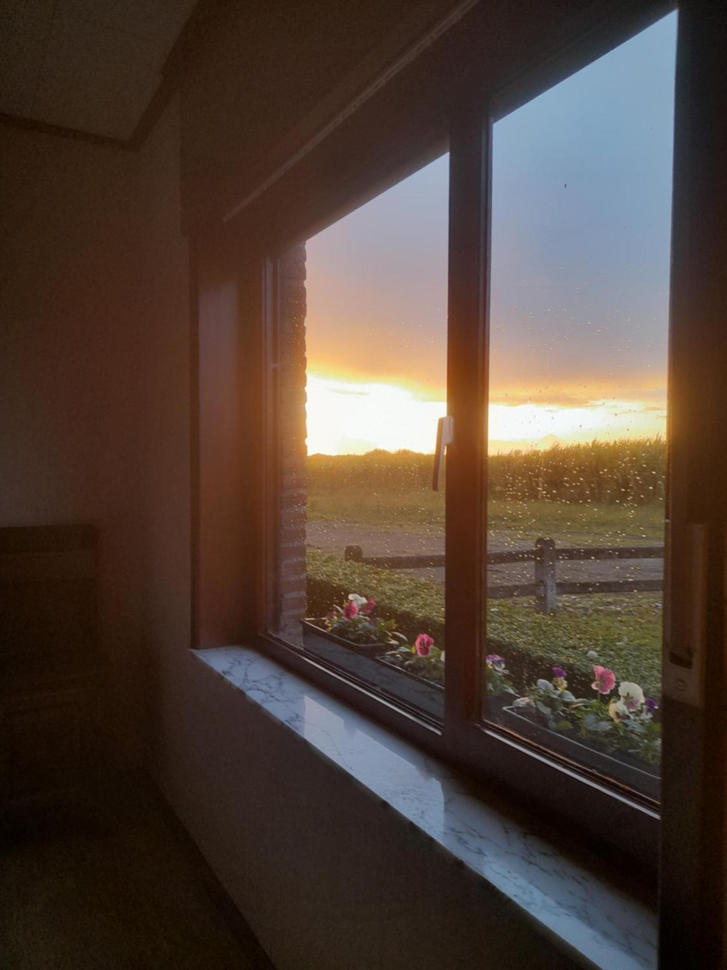 In The Old Farmhouse Assenede エクステリア 写真